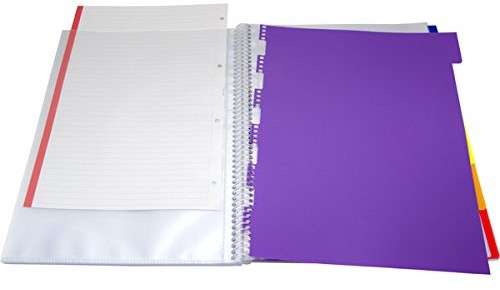 Grafoplas Teczka na grafo Plas 39834100  z 40 koszulek, A4, REGISTER, przezroczysty 39834100