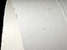 Papeterra Beżowy z wtrąceniami - prążki The Naturals Rinde 2 str wzór, próbka formatu A6 110 g (ppp490) ppp490
