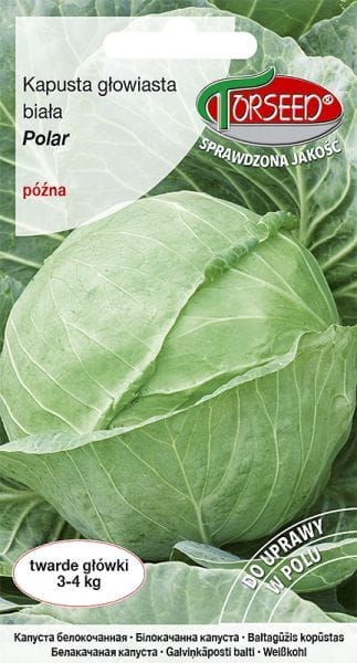 Torseed Nasiona Kapusta głowiasta biała Polar 2g Torseed0470