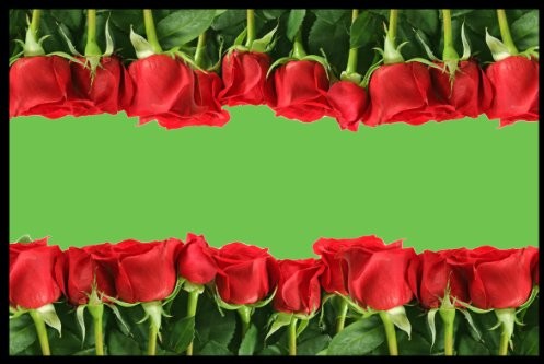 DIGITAL REPUBLIC.COM Digital republic. com 40633 wycieraczka, poliamid-PCW, bez zmiękczaczy 40633