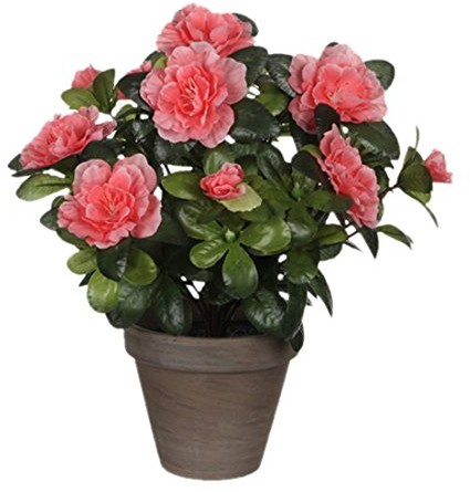 MICA Decorations Dekoracje Mica 950331 kwiat, azalea, pomarańczowy 950331