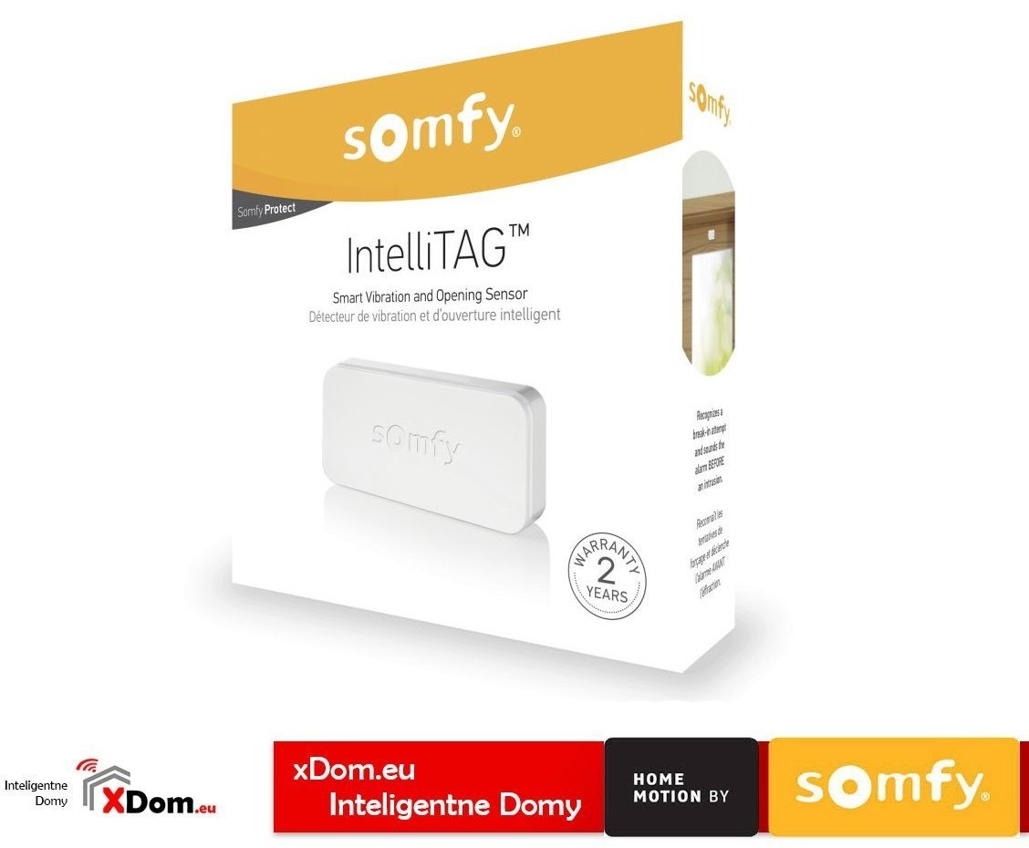 SOMFY Somfy 2401487 czujnik wibracji i otwarcia IntelliTAG 2401487