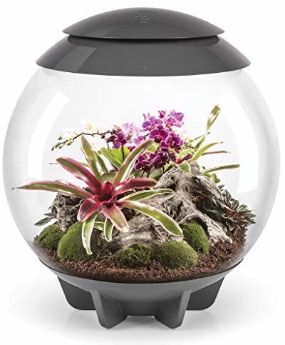 biOrb biorb Air Szary terrarium kompletny zestaw, wzornictwo, z wewnętrznym i efekt mgły 46148