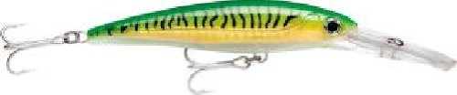 Rapala X-Rap Magnum (złoty Zielony Makrela, 1 1/8 uncji) XRMAG15
