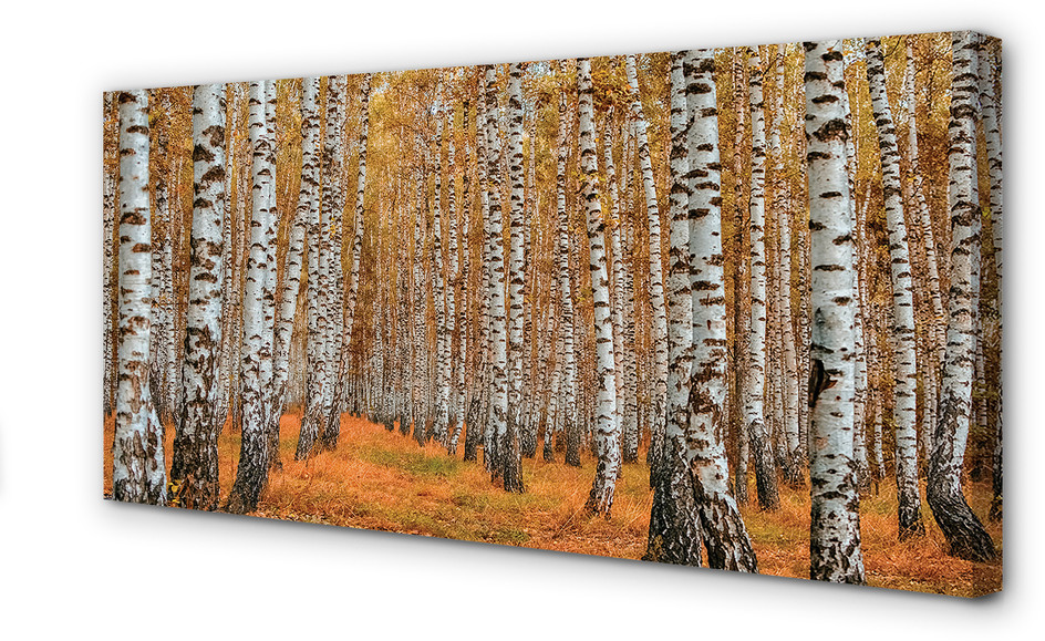 PL Tulup Obrazy na płótnie Jesień drzewa 140x70cm