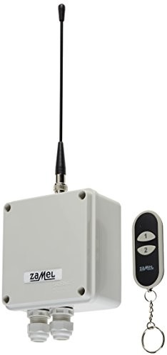 ETERO etero radiowy wyłącznik instalacyjny zestaw z zamkiem, 1-kanałowy, 2 sztuki, rws-211 J/N (RWS-211 J/N)