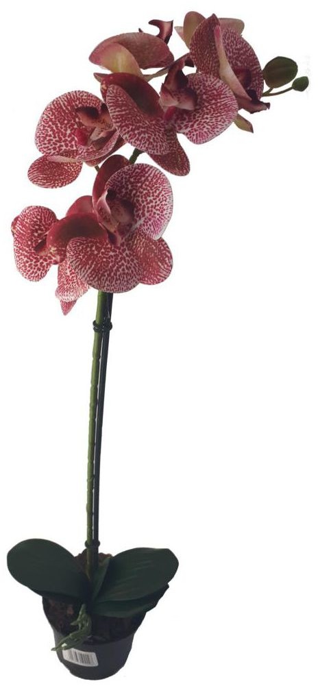 Storczyk sztuczny w doniczce 80 cm 1 pęd