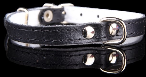 dr Seidla ZOO LESZCZ (PL) Soldina Dla Psa Skóra Naturalna 16 mm / 44 cm ZL0154 ZOO LESZCZ (PL)