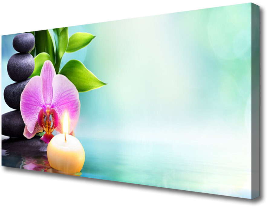 PL Tulup Obraz Canvas Orchidea Woda Natura 120x60cm