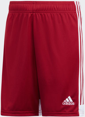 Adidas Tastigo 19 Shorts DP3686
