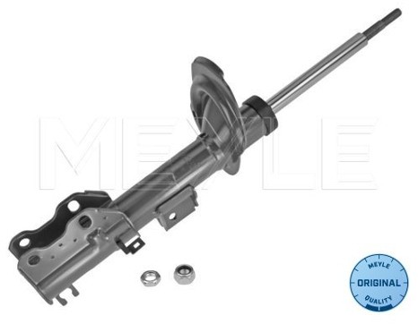 Wulf Gaertner Autoparts Amortyzator Wulf Gaertner Autoparts 026 623 0009