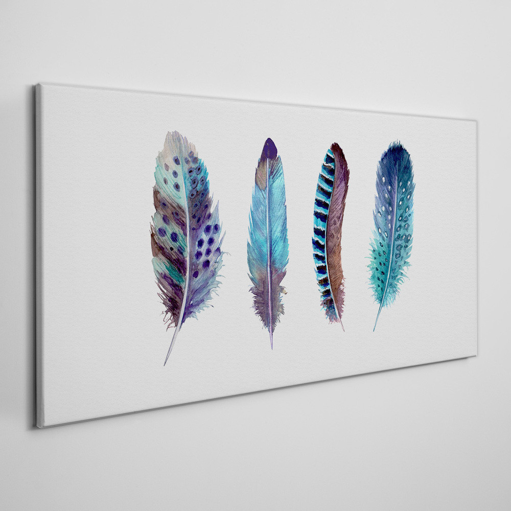 PL Coloray Obraz Canvas Nowoczesny pióra 100x50cm