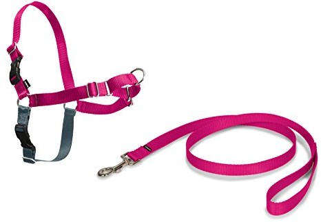 PetSafe Easy Walk uprząż dla psa, z lnianym sznurkiem o długości 1,8 m, bez ciągnięcia, wysoki komfort noszenia, łatwe zakładanie i zdejmowanie, średni, różowy (EW-H-M-RAS-19)