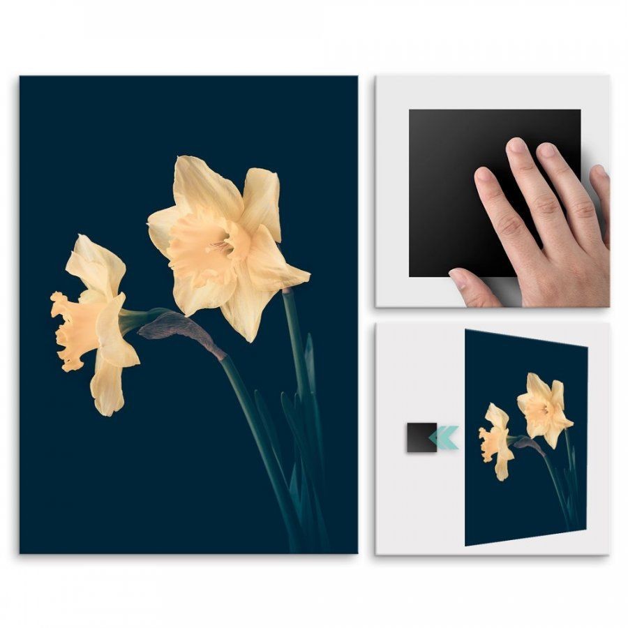 Pix4home Plakat metalowy żółty kwiat L POS-L-01394