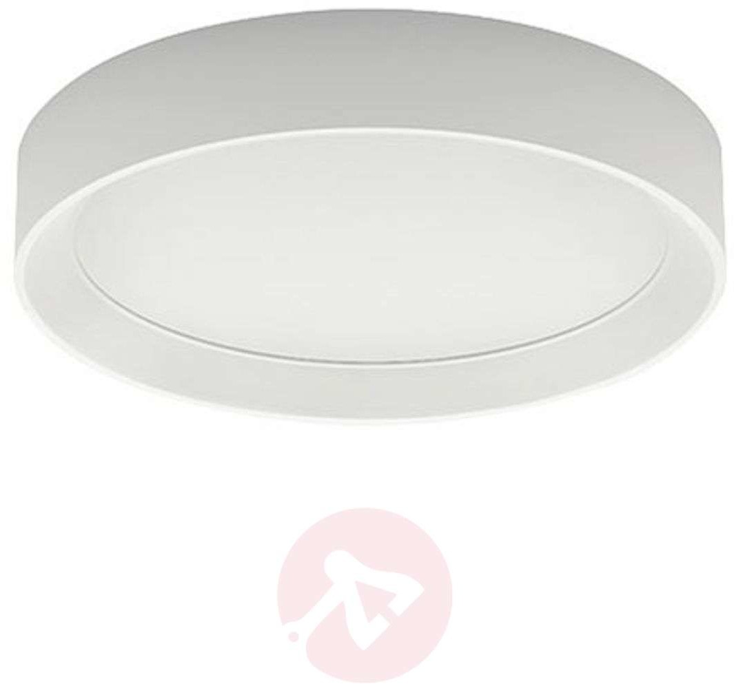 Linea Light Lampa sufitowa LED Tara R, okrągła, 31 cm