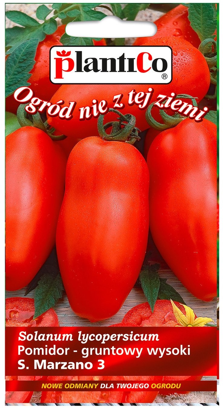 Plantico Pomidor San Marzano