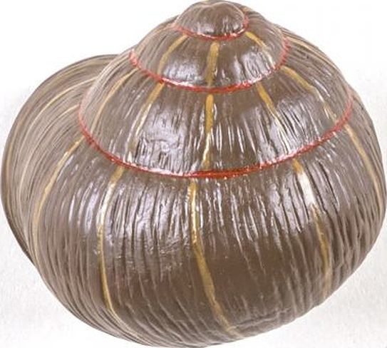 Seletti Wieszak Snail Sleepy kolorowy 14632COL