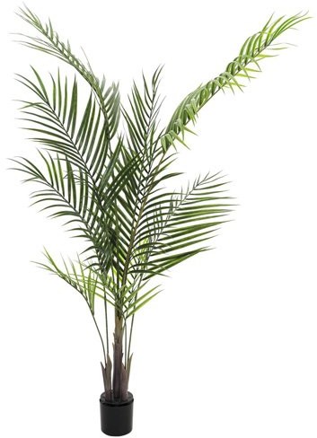 Europalms Euro Palms 82509441 duże arkuszy-Areca 165 cm 82509441