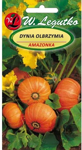 Legutko Dynia olbrzymia Amazonka 5903837414000