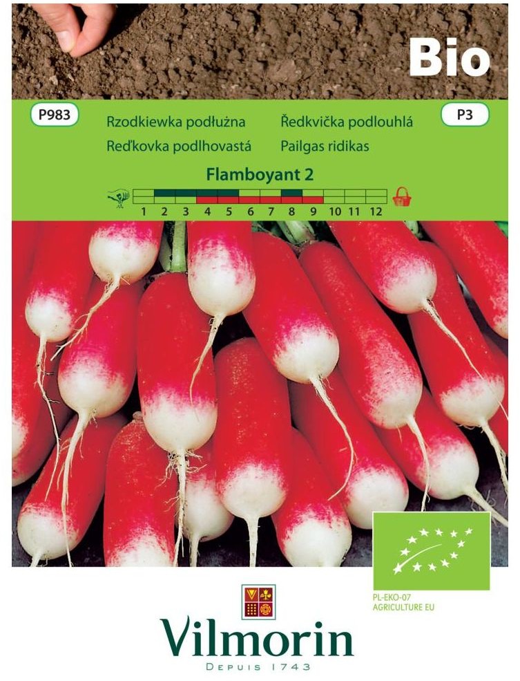 Vilmorin Rzodkiewka podłużna Flamboyant 2