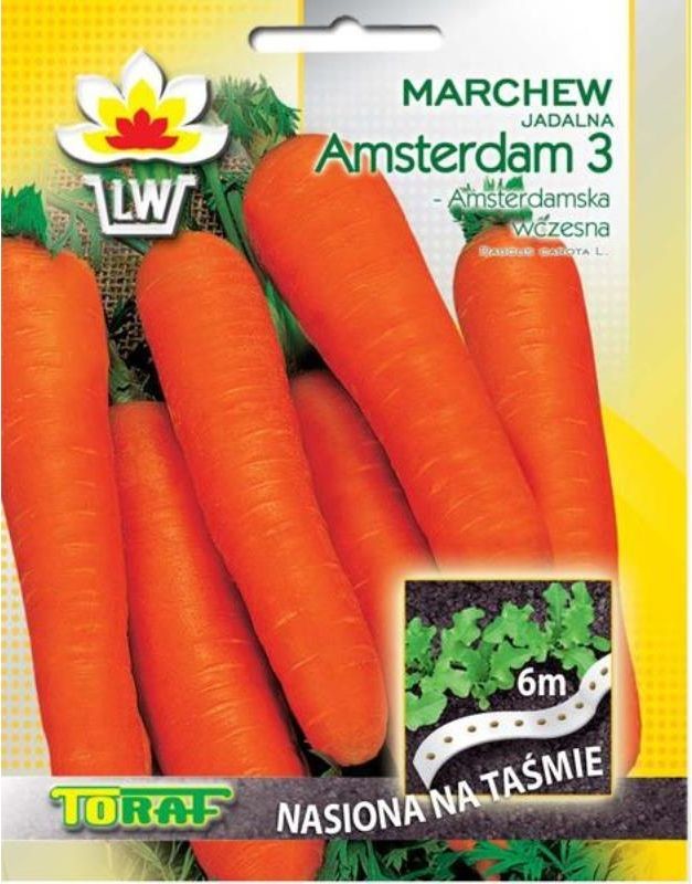 Toraf Marchew Amsterdam 3 nasiona na taśmie 6m 00255