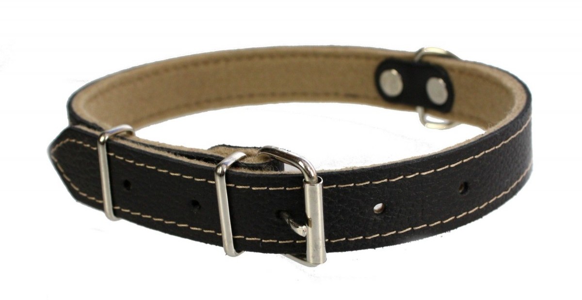 dr Seidla ZOO LESZCZ (PL) Soldina Dla Psa Skóra Naturalna 30 mm / 65 cm ZLO158 ZOO LESZCZ (PL)