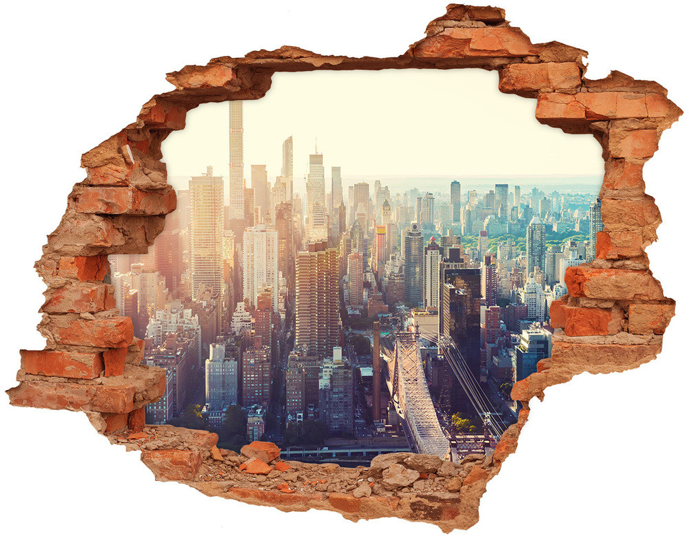 Wallmuralia.pl Fototapeta dziura na ścianę Nowy Jork lot ptaka