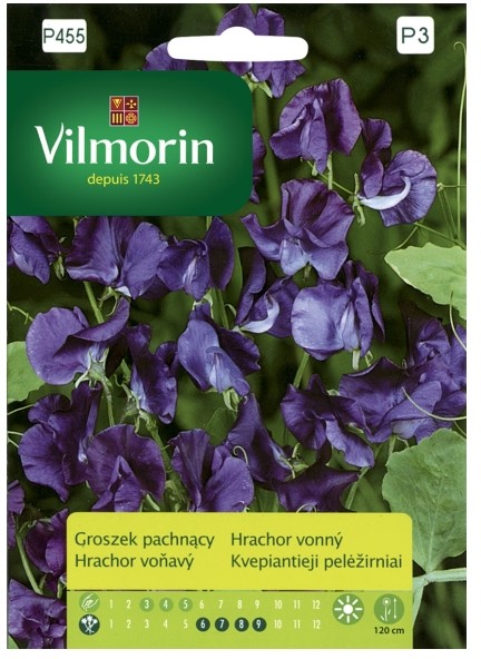 Vilmorin Nasiona groszek pachnący niebieski
