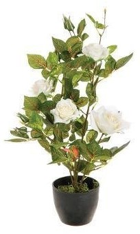 Atmosphera Sztuczna roślina dekoracyjna BIAŁA RÓŻA w donicy 50 cm 121556