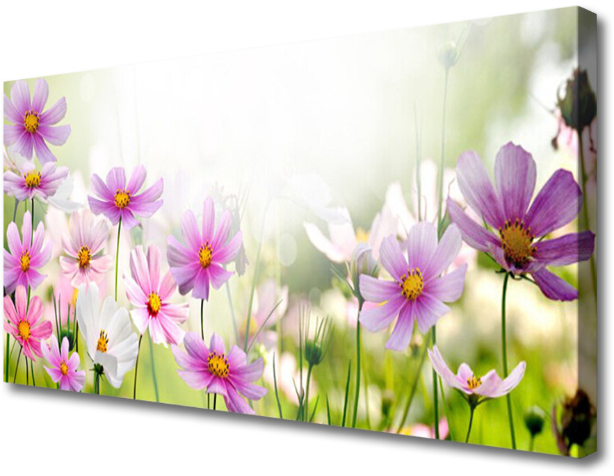 PL Tulup Obraz Canvas Kwiaty Roślina Przyroda 125x50cm