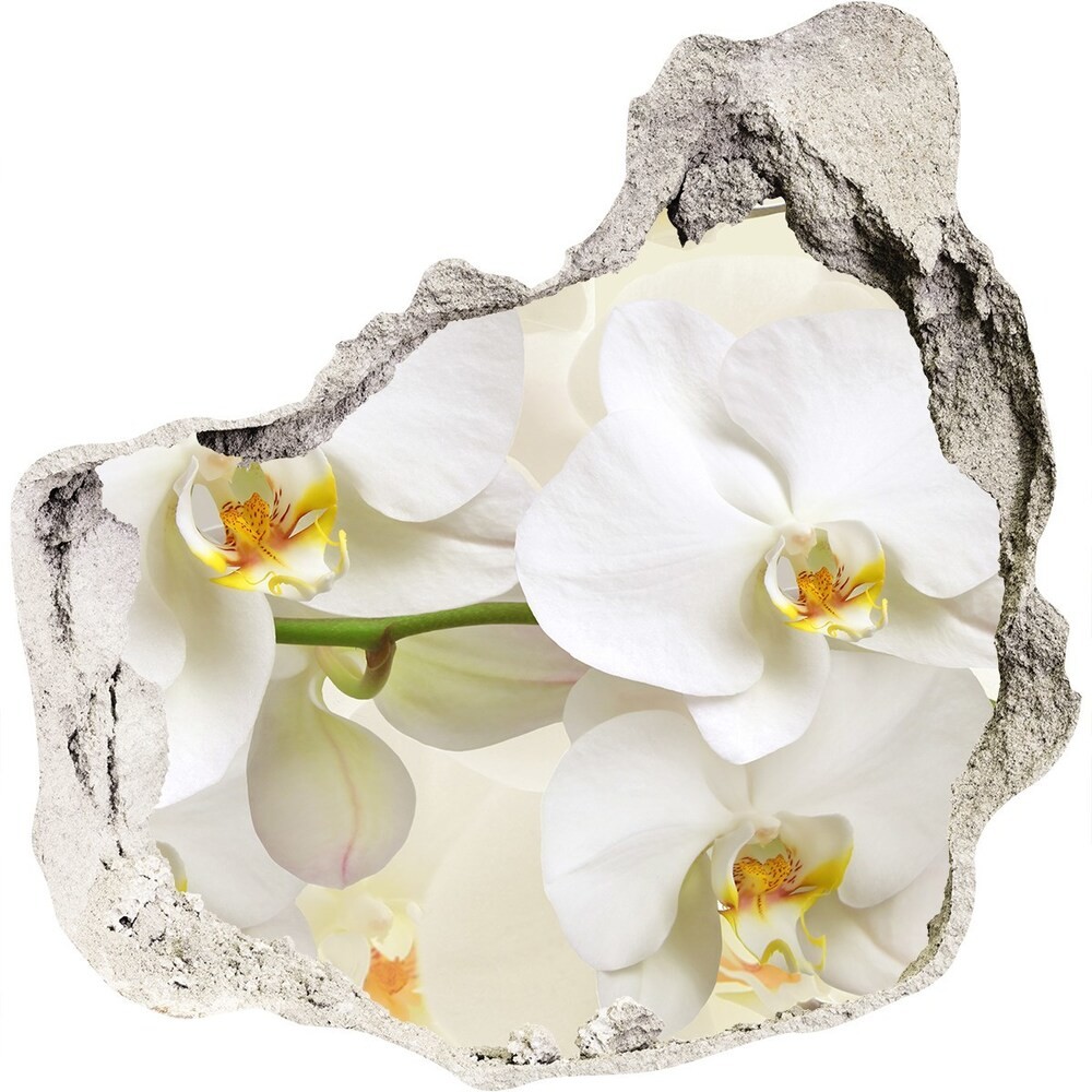Wallmuralia.pl Samoprzylepna naklejka fototapeta Orchidea