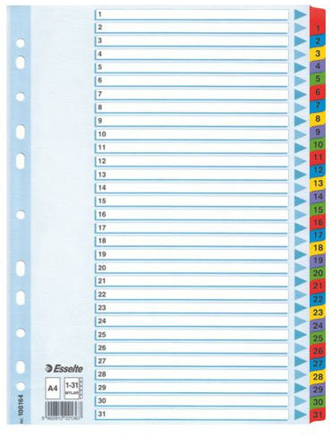 Esselte PRZEKŁADKI KARTONOWE MYLAR A4 1-31