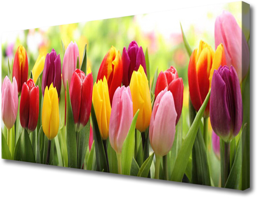 PL Tulup Obraz Canvas Tulipany Kwiaty Natura 125x50cm