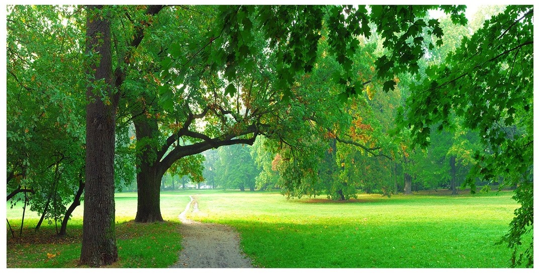 Obraz zdjęcie szkło akryl Park jesienią