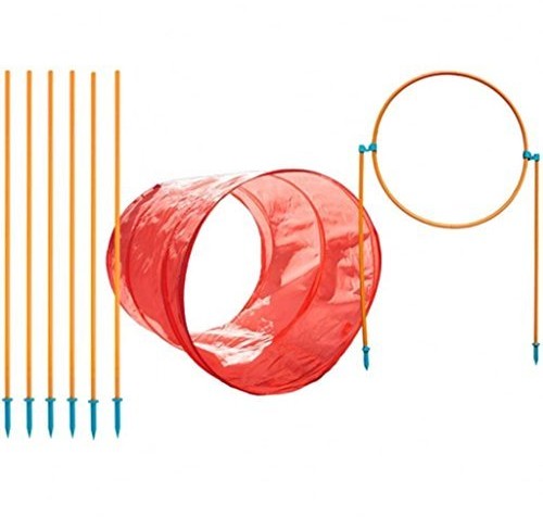 Kyjen kyjen 42003 pręt zewnętrznych Hound Zip and Zoom Outdoor Kit 3 dla psów z tunelem kynologicznego Agility, przeszkody, skok wzwyż przeszkody, rozmiar L, wielokolorowy