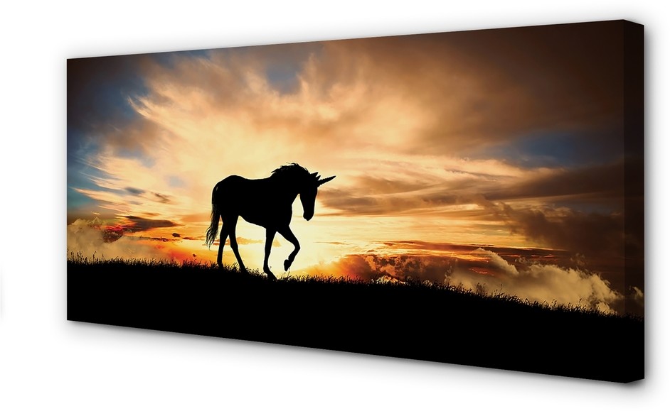 PL Tulup Obrazy na płótnie Jednorożec zachód słońca 120x60cm