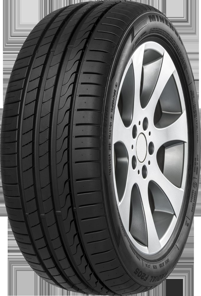 Minerva F 205 235/45R20 100W