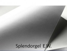 Papeterra Biały ciepły welwet, 4 ark A4, 340 g, Splendorgel Extra White, tektura ozdobna (ppp462) ppp462