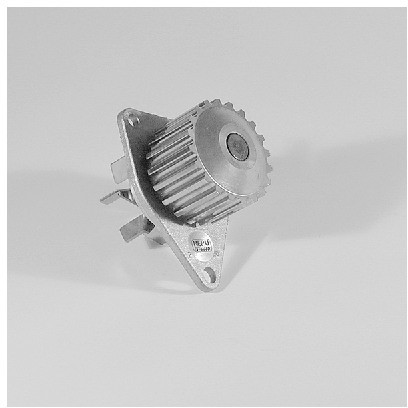 HEPU Pompa wodna P813
