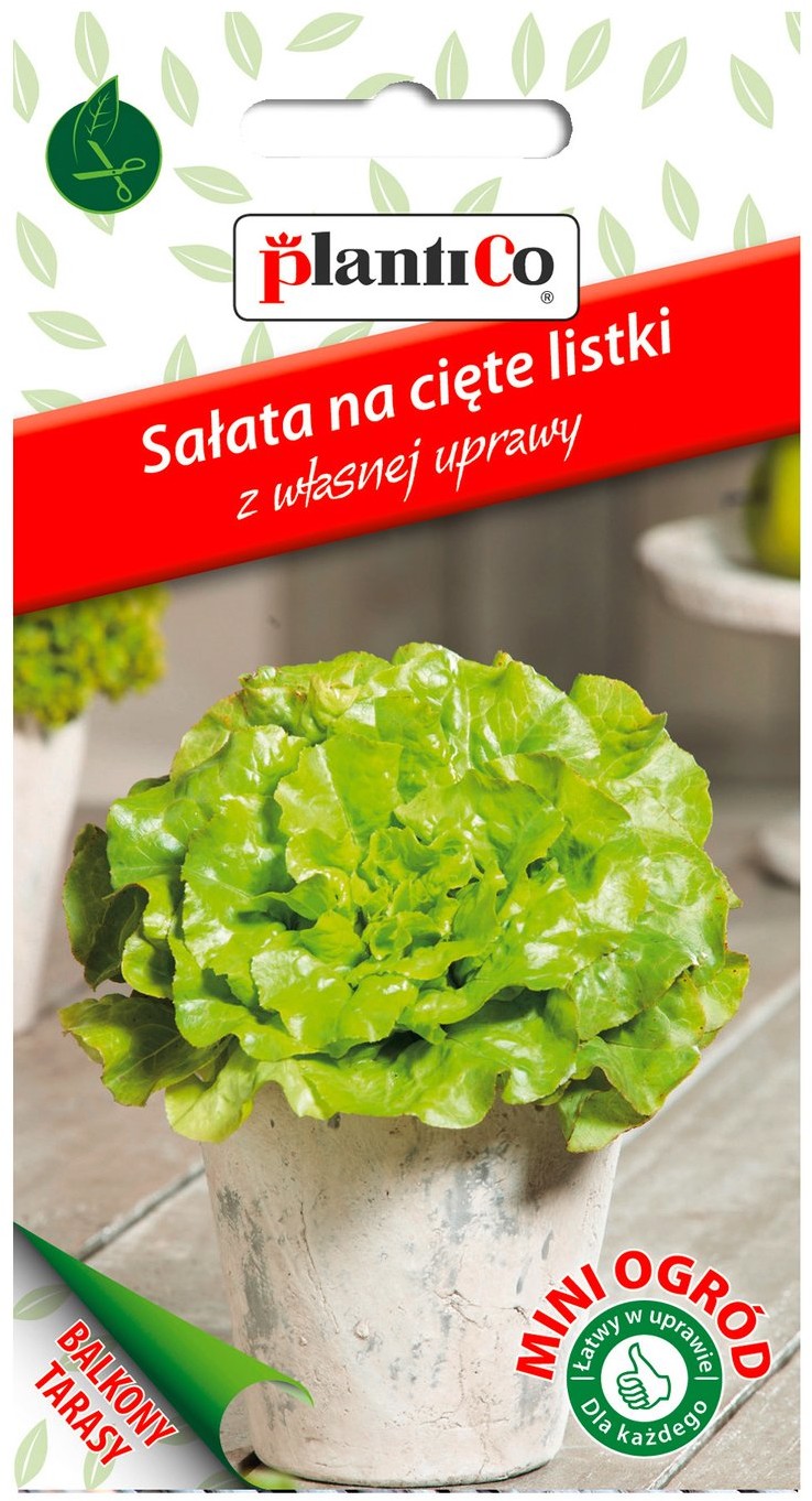 Plantico Sałata gładka zielona Mini Ogród