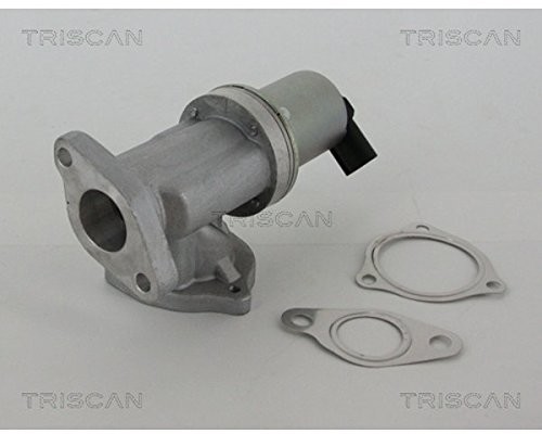 Triscan triscan 8813 43002 AGR zaworów 8813 43002