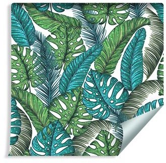 Muralo Tapeta Liście Monstera Dżungla 1278436456 T_F_10mx53_W_1278436456_S