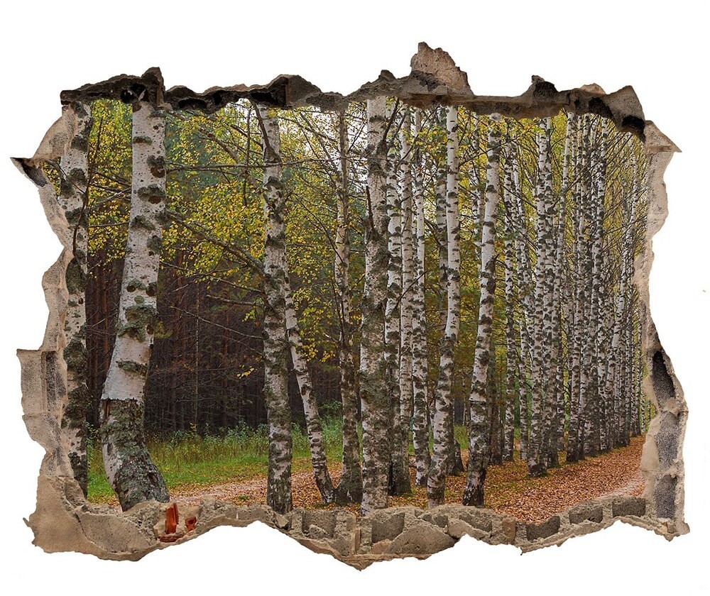 Wallmuralia.pl Dziura 3d w ścianie naklejka Aleja brzóz