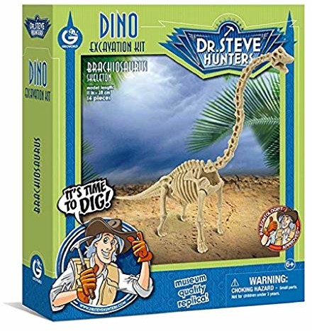 Unbekannt Znane geoworld 625266  Dr. Steve Hunters: Dino-zestaw  brachiozaur-wykopalisk szkielet, wiek: 6 +, rozmiar: 28 cm