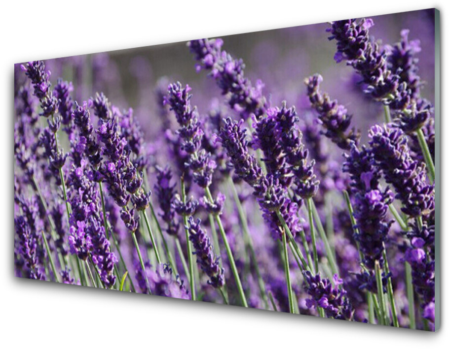 Tulup.pl Panel Kuchenny Kwiaty Roślina Natura 125x50cm