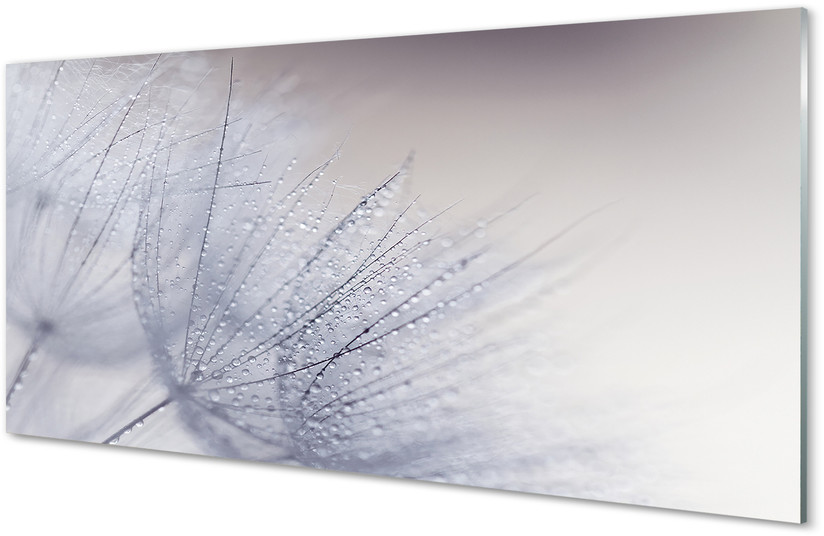 Tulup.pl Szklany Panel Krople rosa dmuchawce 120x60cm