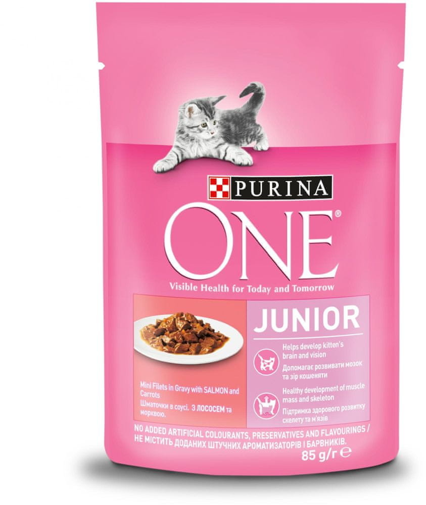 Purina One karma dla kotów Junior mini filety z łososiem i marchewką w sosie 24 x 85 g