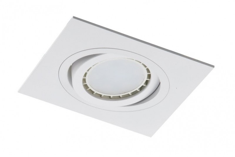 Light&More LM 921/1 WH OPRAWA HALOGENOWA WPUSZCZANA REGULOWANA OCZKO ALUMINIUM BIAŁY QR70 GU10 230V LED LM 921/1 WH