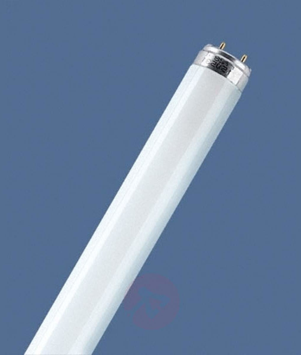 Osram G13 T8 30W 865 świetlówka LUMILUX