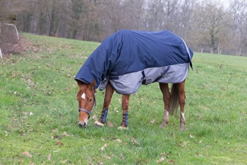 Equi-Thme equi-thme 